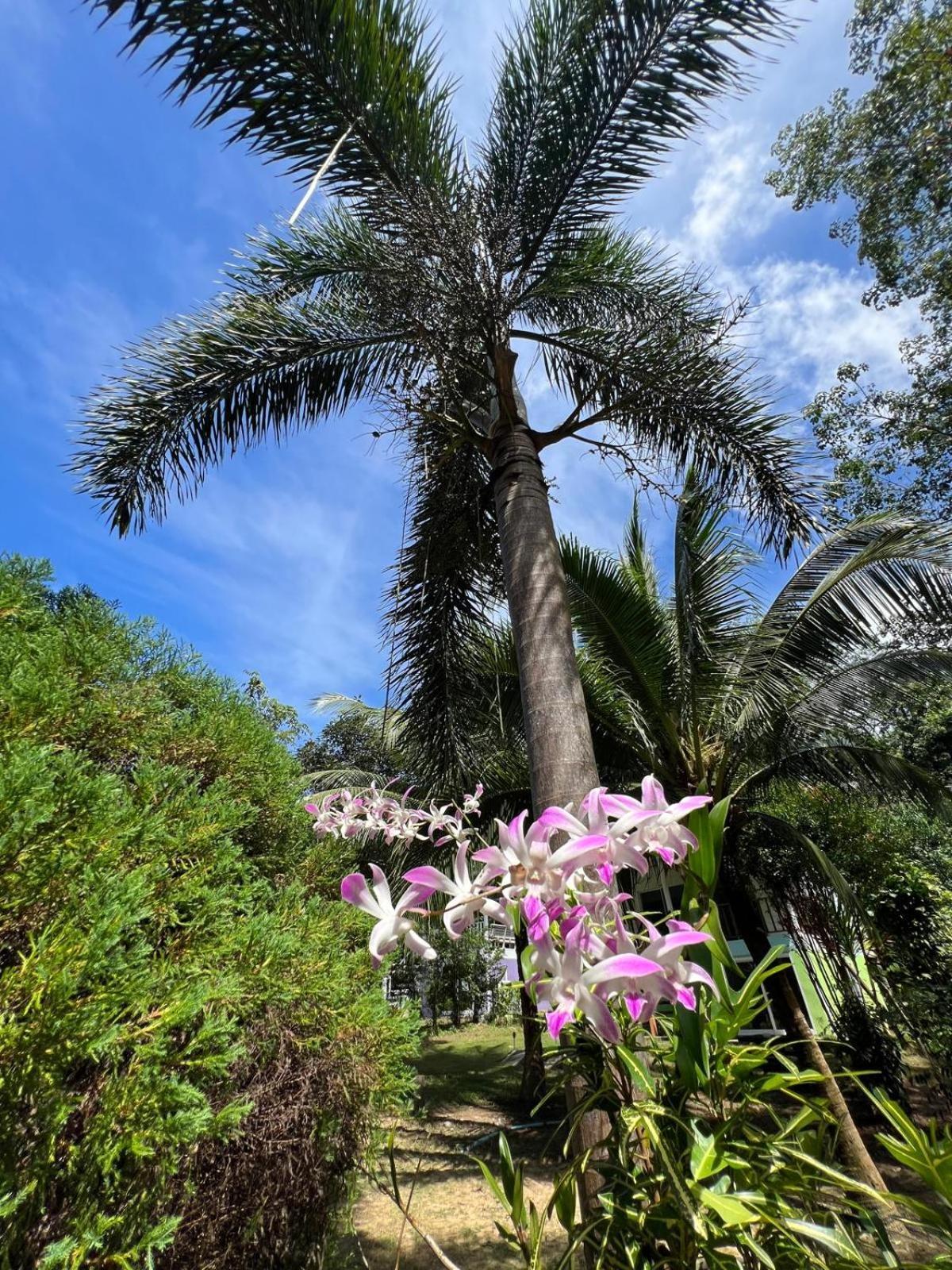 فندق Janzo House Ban Khlong Mat المظهر الخارجي الصورة