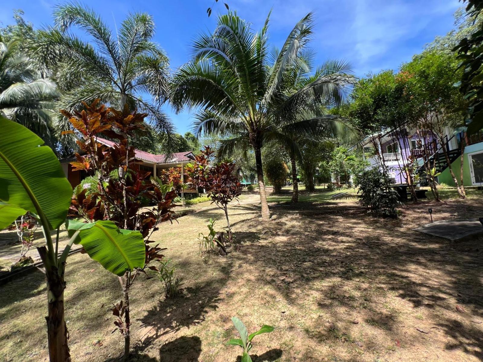 فندق Janzo House Ban Khlong Mat المظهر الخارجي الصورة